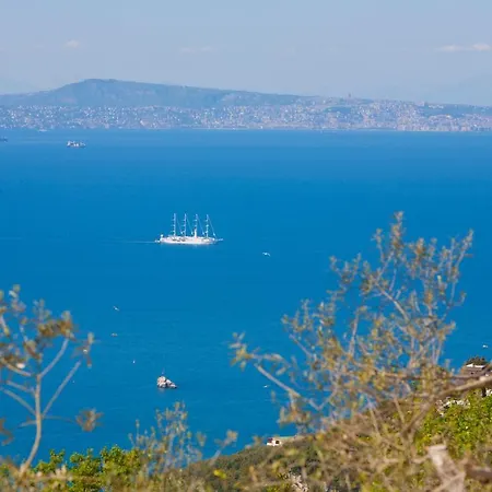 Venus In Penisola Sorrentina