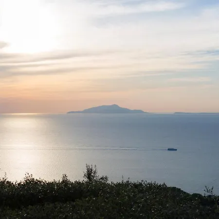 Venus In Penisola Sorrentina *