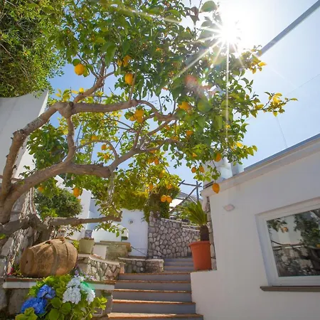 Venus In Penisola Sorrentina Holiday home Massa Lubrense